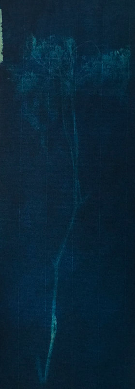 What once was, Is

Cyanotype on paper

19H x 5-3/4W